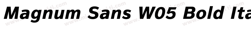 Magnum Sans W05 Bold Italic字体转换